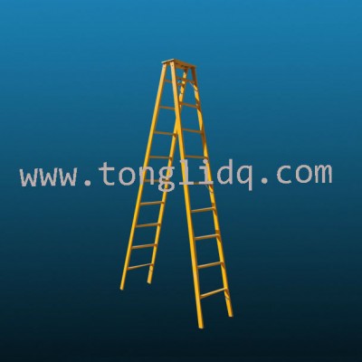 Double side insulation ladder